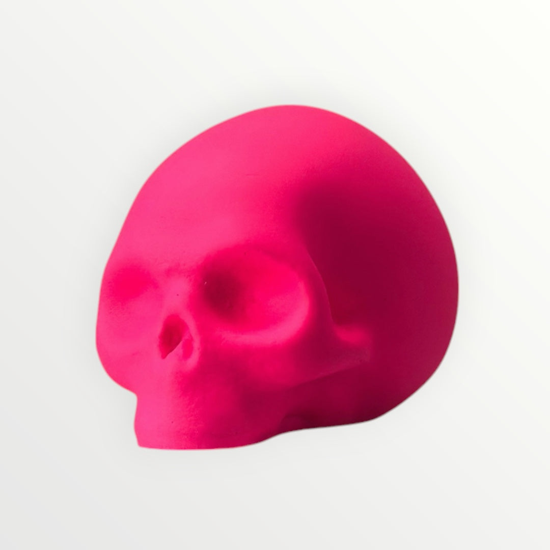 Les Vanités - Têtes de Mort en Plâtre pink