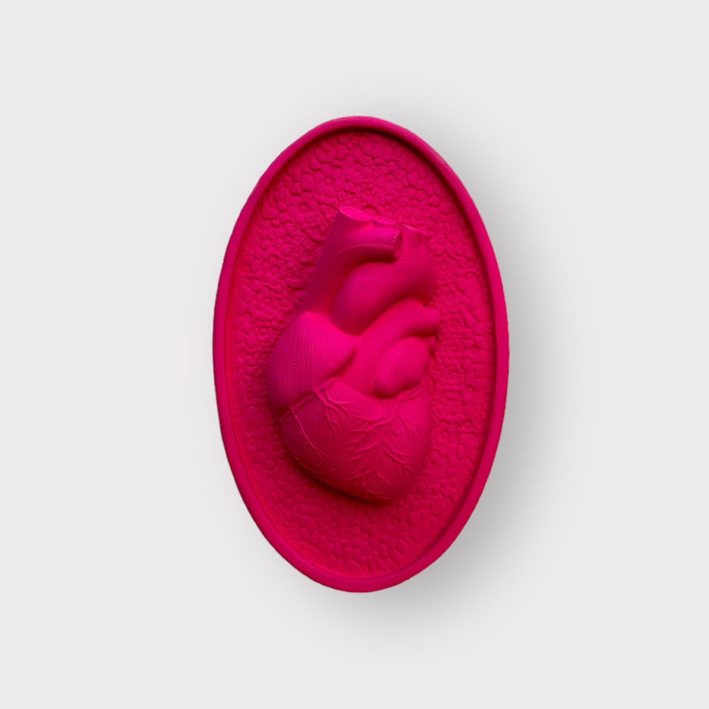 Ex voto coeur anatomique et dentelle "Eternel"