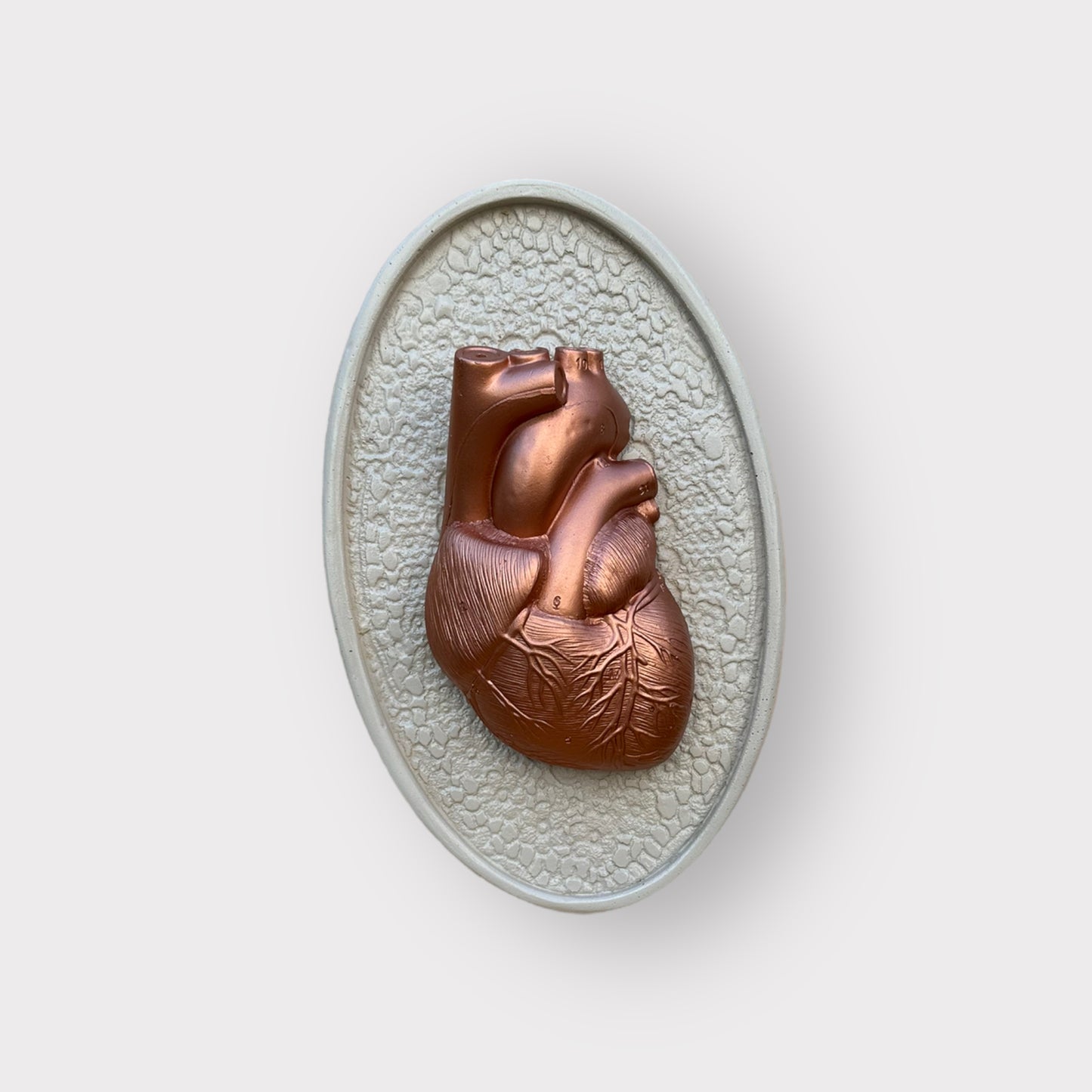 Ex voto coeur anatomique et dentelle "Eternel"