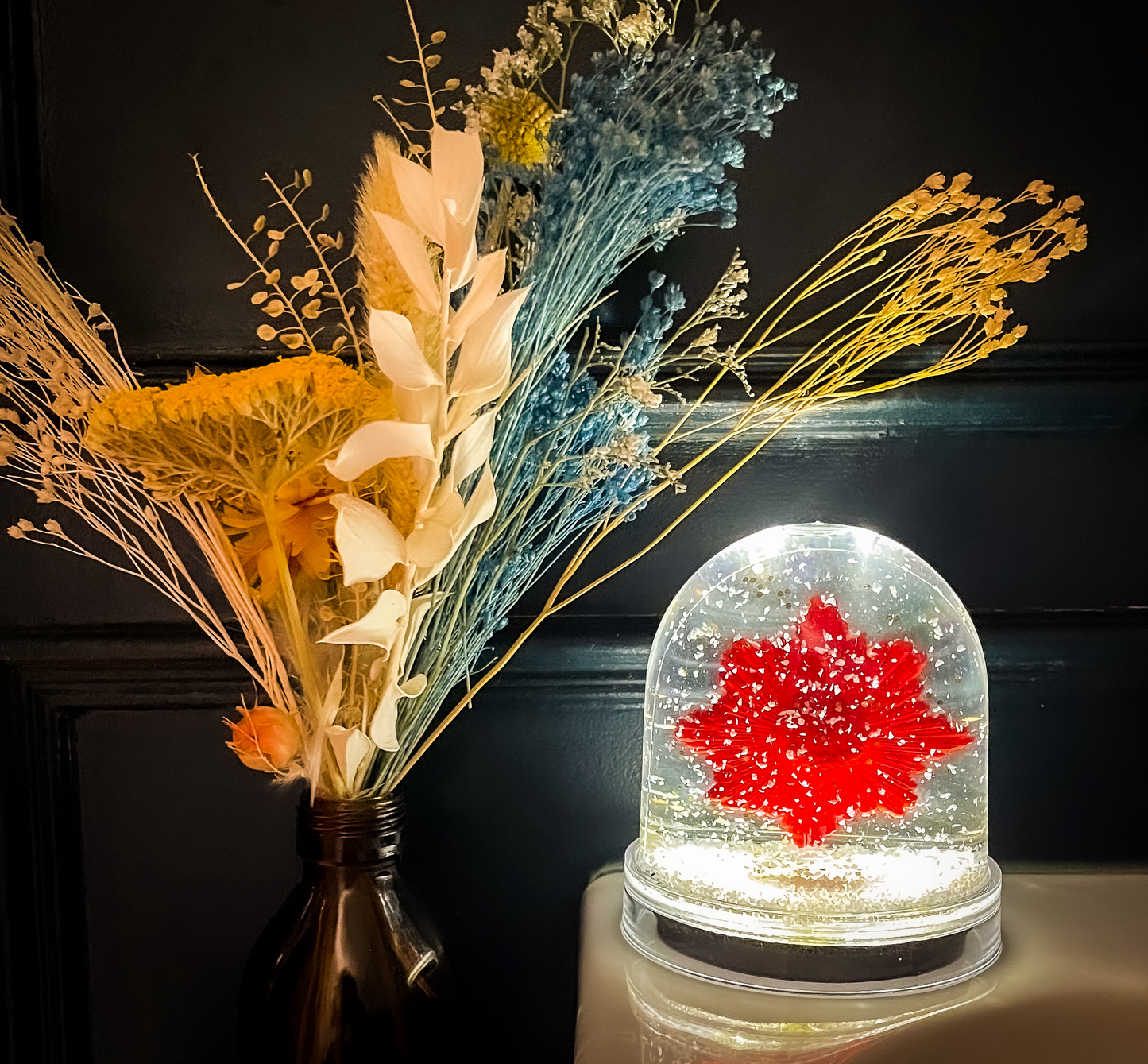 Module lumineux LED