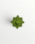 Broche ex-voto - coeur Vital