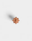 Ex-voto pin