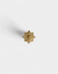 Ex-voto pin