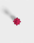 Ex-voto pin