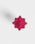 Broche ex-voto - coeur Vital