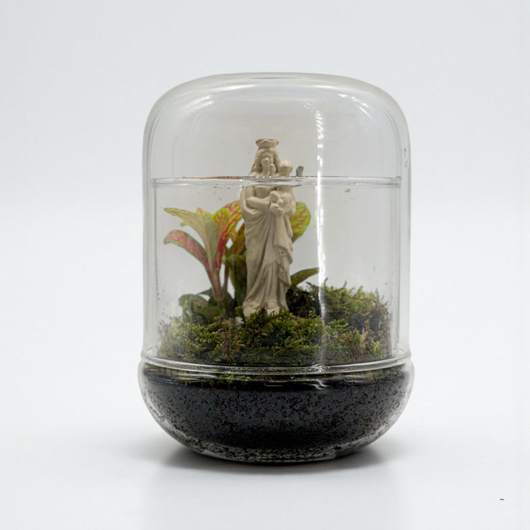 TERRARIUM - J&#39;ai vu la Vierge