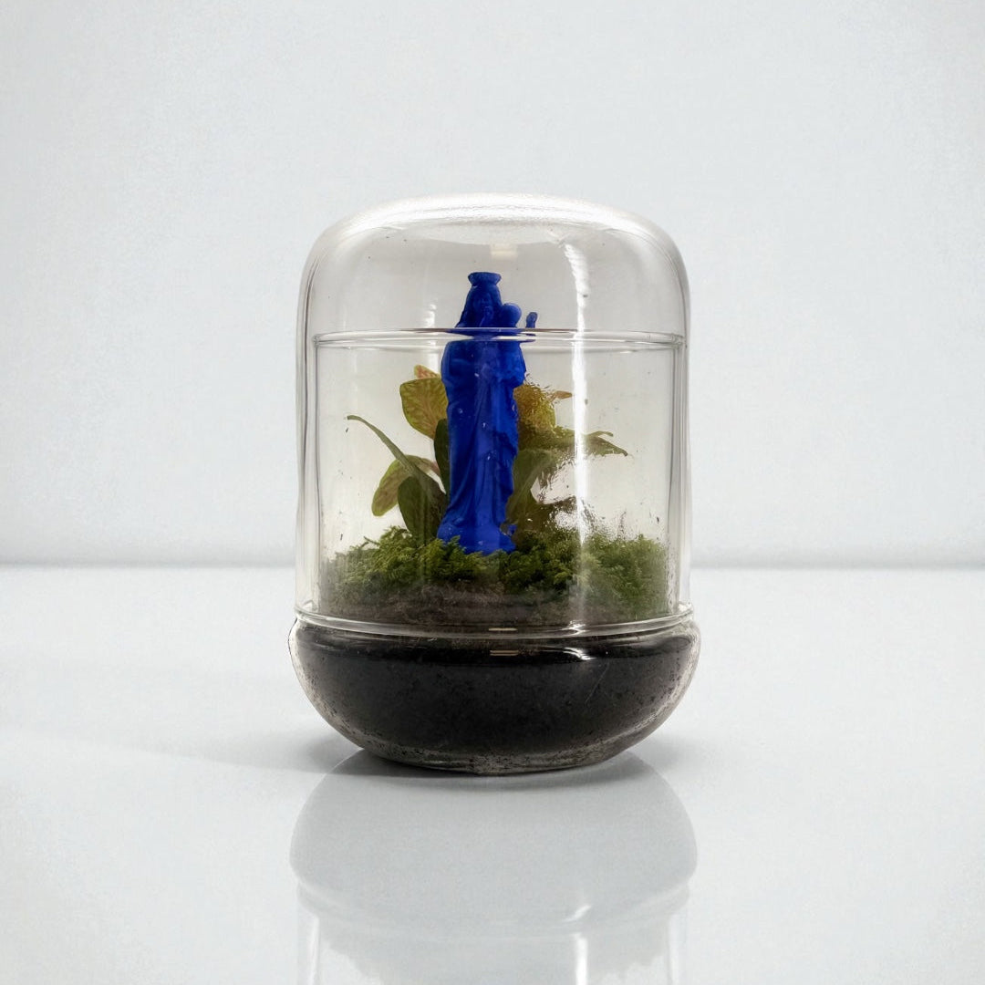 TERRARIUM - J&#39;ai vu la Vierge