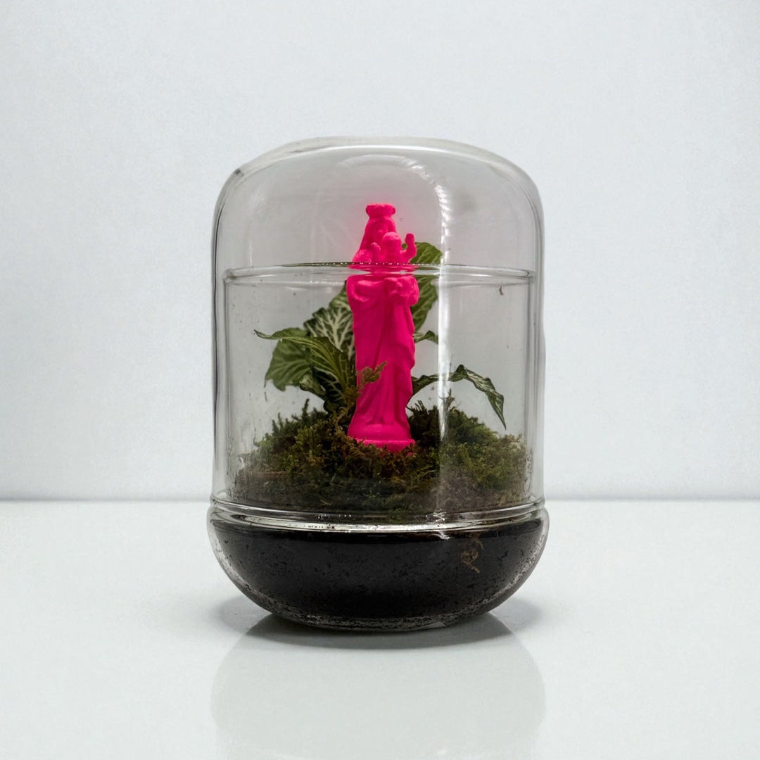 TERRARIUM - J&#39;ai vu la Vierge