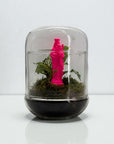 TERRARIUM - J'ai vu la Vierge