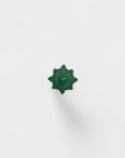 Ex-voto pin