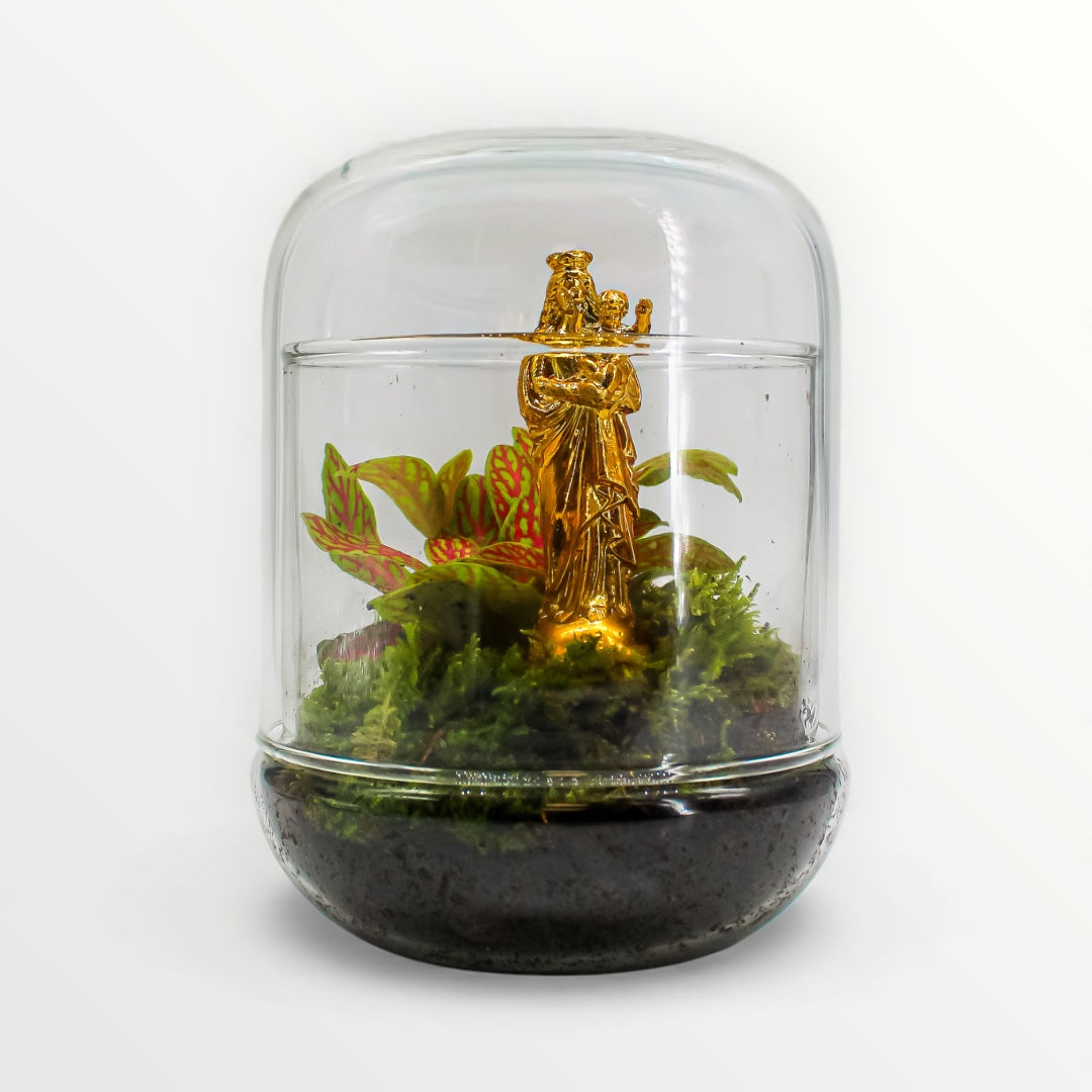 TERRARIUM - J&#39;ai vu la Vierge