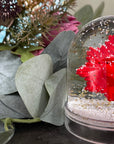 Boule à neige ex voto coeur sacré rouge tagada